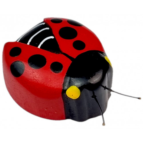 2Kids Toys Drevená magnetka veľká Lienka