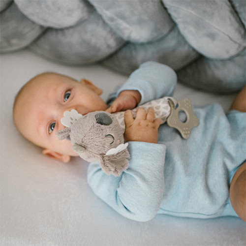Plyšová hračka s pískatkom a hryzátkom Koala Coco, sivá