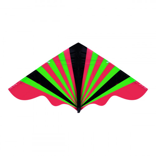 Lietajúci drak 128 x 61 cm