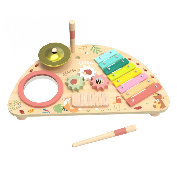 2Kids Toys Multifunkčná hudobná doska
