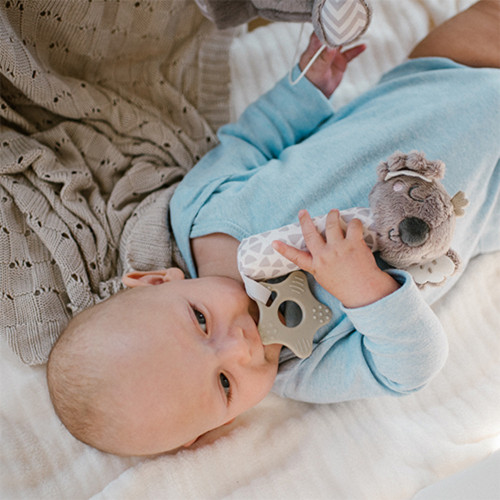 Plyšová hračka s pískatkom a hryzátkom Koala Coco, sivá